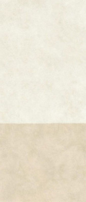 Керамогранит Boost Expression Duo Camel 120x278 6 mm  Atlas Concorde Italy матовый универсальная плитка AYSN
