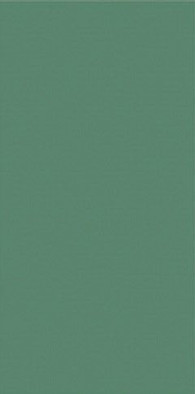 Настенная плитка Green matt 30x60 матовая керамическая