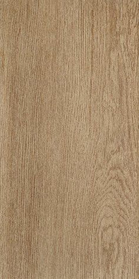 Керамогранит 010404001859 Alania natural 01 20х40