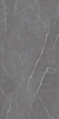 Керамогранит 817 Pietra Mat 60x120 Eurotile Ceramica Eurotile матовый универсальная плитка