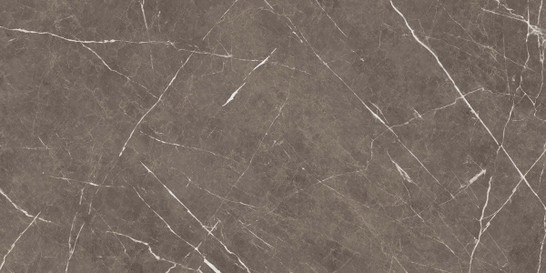 Керамогранит Apana Brown 60x120 Ocean ceramic матовый универсальный IRN000003 фото Керамогранит Apana Brown 60x120 Ocean ceramic матовый универсальный IRN000003