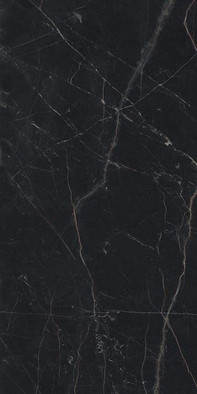 Керамогранит Marvel Black Atlantis 60x120 (A21A) матовый фото Керамогранит Marvel Black Atlantis 60x120 (A21A) матовый
