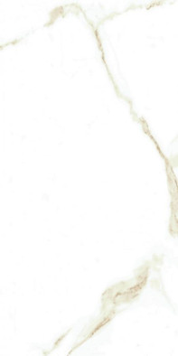 Керамогранит Emotion Naos Gold Brillo 30x60, , полированная