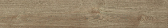 Керамогранит Foresta Quercia Baldocer 20x120 матовый универсальный фото Керамогранит Foresta Quercia Baldocer 20x120 матовый универсальный