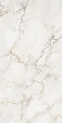 Керамогранит Pratonix Beige 60x120 Cp Creanza carving универсальная плитка CP4002-A