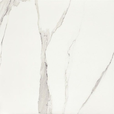 Керамогранит P- White-61x61 напольный матовый