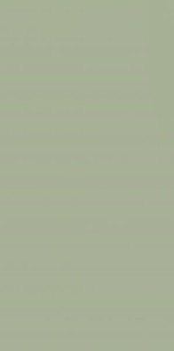 Настенная плитка Feelings Green Paradyz Ceramika 29.8x59.8 матовая керамическая 5902610517228