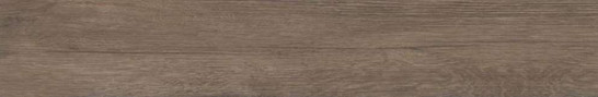 Керамогранит Jungla Teca 19,5x120 Grespania Ceramica S.A. матовый универсальный 19JG99T фото Керамогранит Jungla Teca 19,5x120 Grespania Ceramica S.A. матовый универсальный 19JG99T