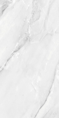 Керамогранит Aquarelle Grey 60х120 Absolut Gres полированный универсальный AB 1187G