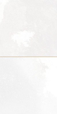 Настенная плитка FS Tradition Square White 20x40 см Peronda 30896 глянцевая керамическая