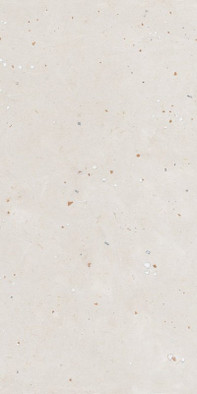 Керамогранит Egg Scape Ivory Nat R 60x120 ABK Moooi Nesting Room матовый универсальная плитка PF60021288