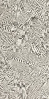 Настенная плитка Bloom 80x160 Star Grey Fap Ceramiche матовая керамическая fRGR фото Настенная плитка Bloom 80x160 Star Grey Fap Ceramiche матовая керамическая fRGR