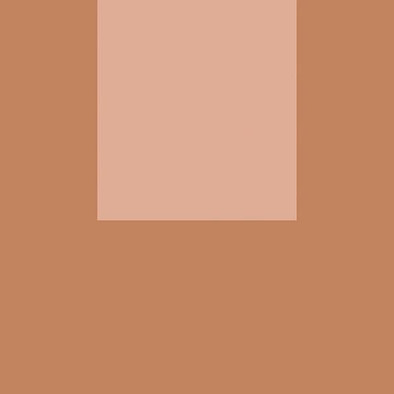 Декор Italian Landscape Firenze D 20.5x20.5 Fioranese Ceramica керамогранит матовый ILFI20D