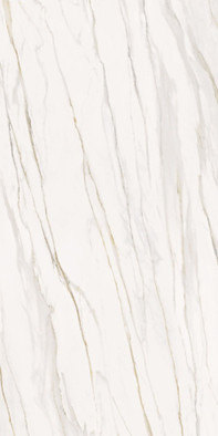 Керамогранит Florentino Silk Ret. 60x120 Serenissima and Cir сатинированный универсальная плитка