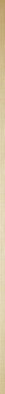 Бордюр Blanco Brillo Gold Line Mate керамический фото Бордюр Blanco Brillo Gold Line Mate керамический