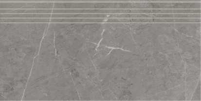 Ступень фронтальная K-2202/MR/st01/300x600x9 керамогранит матовая Kerranova Skala