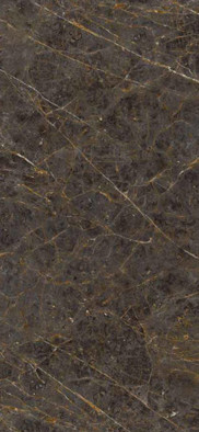 Керамогранит AE GOL6 260 Lp-120x260 La Faenza Monoceram лаппатированный (полуполированный) универсальный 38128