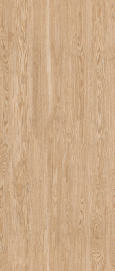 Керамогранит Oakwood Peanut Shape Tech 120х280 Staro Slab Matt матовый универсальная плитка УТ-00000263 фото Керамогранит Oakwood Peanut Shape Tech 120х280 Staro Slab Matt матовый универсальная плитка УТ-00000263