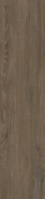 Керамогранит GFA2090GRW44R Grandwood 20x90 Almaceramica матовый универсальная плитка