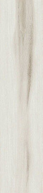 Керамогранит GFU92LND04R Linden 20x90х10 матовый
