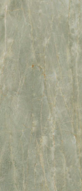 Керамогранит Anima Ever Sage Green Luc AFA3 120x278 универсальный полированный фото Керамогранит Anima Ever Sage Green Luc AFA3 120x278 универсальный полированный