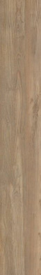 Керамогранит Castagno NI 9 Rett 20x120 Del Conca матовый напольная плитка 21NI09R