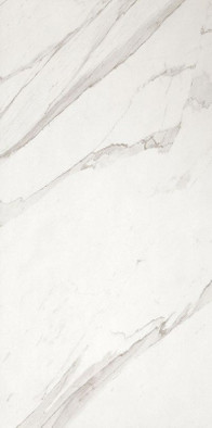 Настенная плитка Roma 50 Statuario-50x120 матовая керамическая фото Настенная плитка Roma 50 Statuario-50x120 матовая керамическая
