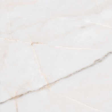 Керамогранит Essenza PW R 80x80 матовый