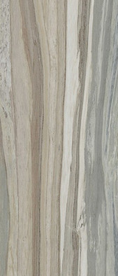 Керамогранит Palisandro Gray Nat. (6 mm 120х280 Tau Ceramica матовый настенный 10433-0001 фото Керамогранит Palisandro Gray Nat. (6 mm 120х280 Tau Ceramica матовый настенный 10433-0001