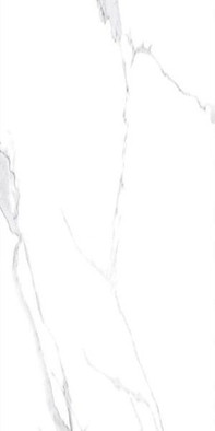 Керамогранит Premium Marble Calacatta White, 600х1200х9, Full Lap, Aleyra полированный универсальный 000040