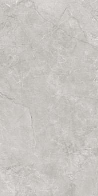 Керамогранит Pluto Silver Светло-серый SG50005220R 59,5х119,1 матовый Laparet универсальная плитка х9999300967 фото Керамогранит Pluto Silver Светло-серый SG50005220R 59,5х119,1 матовый Laparet универсальная плитка х9999300967