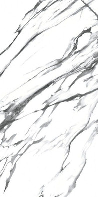 Керамогранит Oikos Black 60x120 полированный фото Керамогранит Oikos Black 60x120 полированный