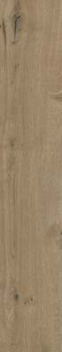 Керамогранит Dakota Natural 20х120 Gravita матовый напольный 78802612