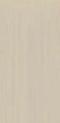 Керамогранит TC Beige Mat Asia Pacific 60х120 матовый универсальный