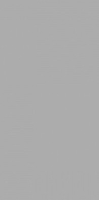 Керамогранит Elite Grey 60x120х5 Matt Staro матовый универсальный С0004998