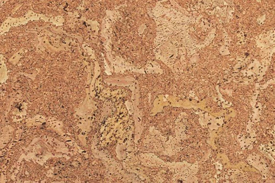 Пробковая панель Corkstyle EcoCork Madeira 10.5 мм 915x305 33 класс