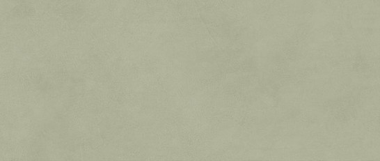 Настенная плитка Boost Expression Olive 50х120 Atlas Concorde Italy матовая керамическая AYR7