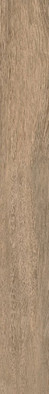 Керамогранит Paramo-R Beige 14.3 фото Керамогранит Paramo-R Beige 14.3