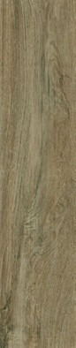 Керамогранит Maloe Natural Gres Szkl. Rekt. Mat. Paradyz Ceramika 21.5x98.5 матовый универсальный 5904584130052