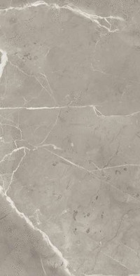 Керамогранит Elegance Greige 60х120 Supergres матовый универсальный PEL6