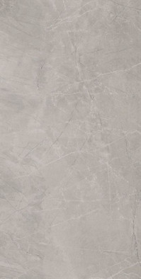 Керамогранит Silver Pulido 120x240 универсальный фото Керамогранит Silver Pulido 120x240 универсальный