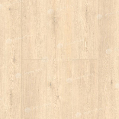 SPC ламинат Alpine Floor ECO11-23 Гранд секвойя Адендрон Grand Sequoia 43 класс 1220х183х4 мм (каменно-полимерный) фото SPC ламинат Alpine Floor ECO11-23 Гранд секвойя Адендрон Grand Sequoia 43 класс 1220х183х4 мм (каменно-полимерный)