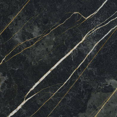 Керамогранит Forest 60x60 универсальный полированный