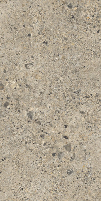 Керамогранит SE12 Ceppo Romano Matt 162х324 Infinity Ceramica Stone матовый универсальная плитка 101765