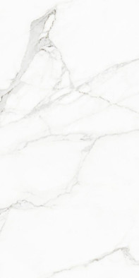 Керамогранит White Beauty Levigato+Rettificato 60x120 универсальный полированный