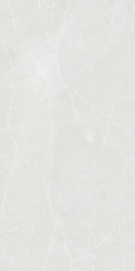 Керамогранит Elegance Bianco 60x120 Colortile carving универсальный