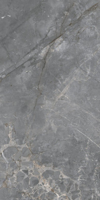 Керамогранит Fior Di Bosco Grey Starlight Poli 60х120 Keraben Idyllic полированный универсальная плитка 783