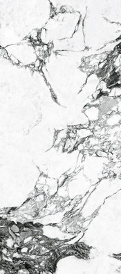 Керамогранит Arue-R Pulido 79,3x179,3 универсальный полированный