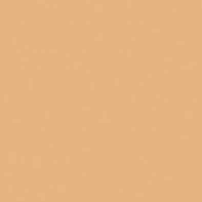 Керамогранит Vodevil Beige 20x20 универсальный матовый фото Керамогранит Vodevil Beige 20x20 универсальный матовый