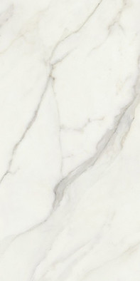 Керамогранит Cervico-V 90x180 Zodiac Ceramica гладкий матовый универсальный Art##0007315